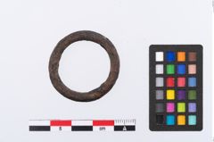 Foto von Bronzering (NHMW-PRAE-078097)